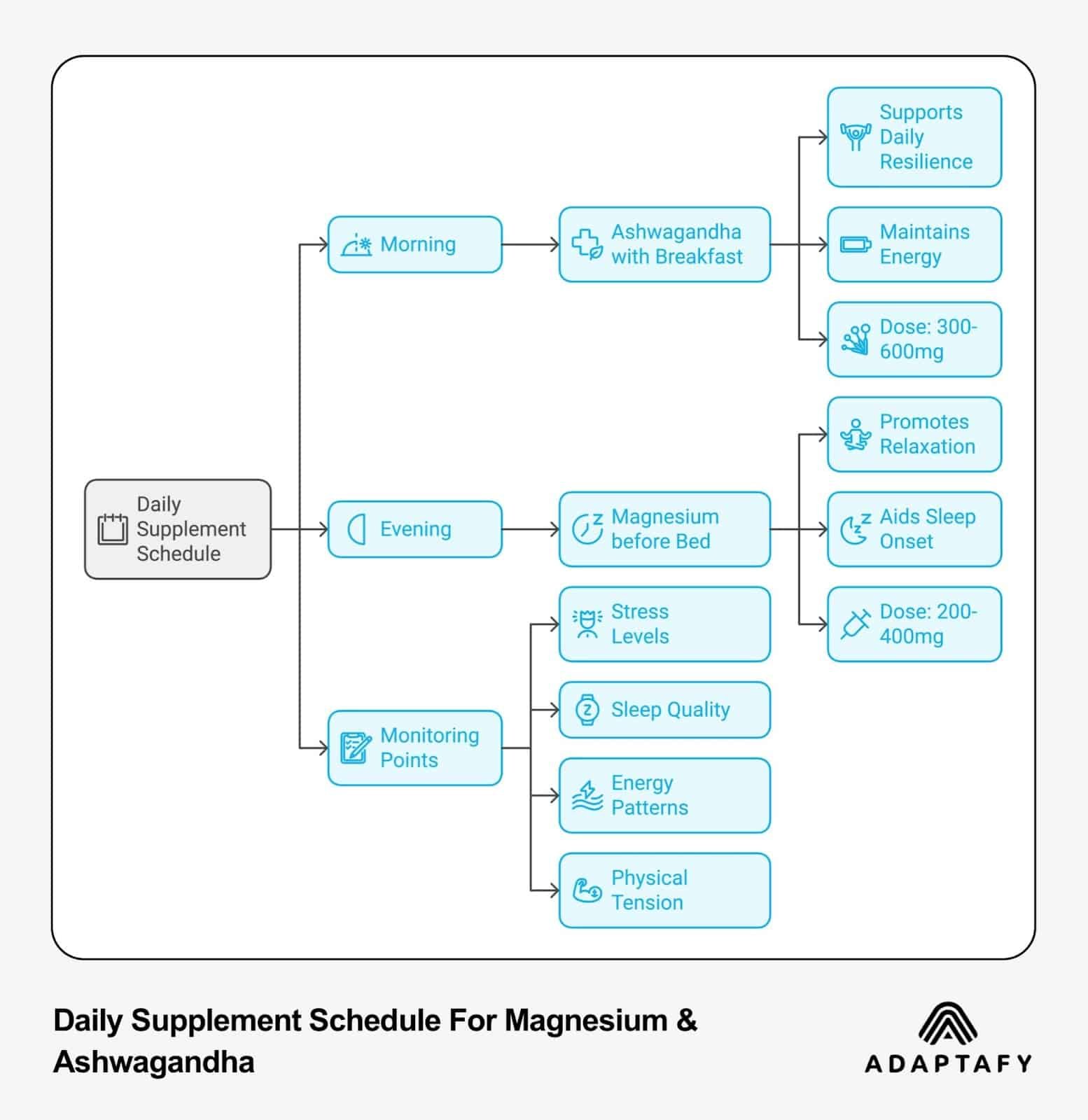 Daily supplement scheduling flowchart showing morning Ashwagandha (300-600mg with breakfast) and evening Magnesium (200-400mg before bed) timing, plus monitoring points for stress, sleep, energy, and physical tension. Ashwagandha vs Magnesium by Adaptafy