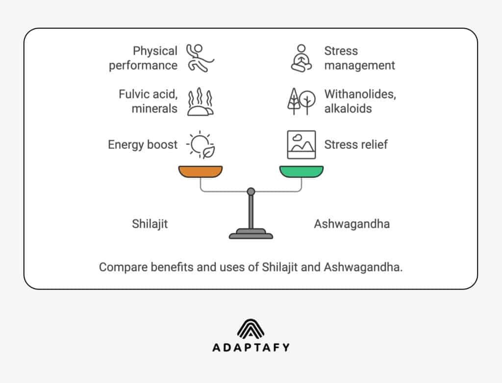 a graphical representation of benefits of shilajit vs ashwagandha