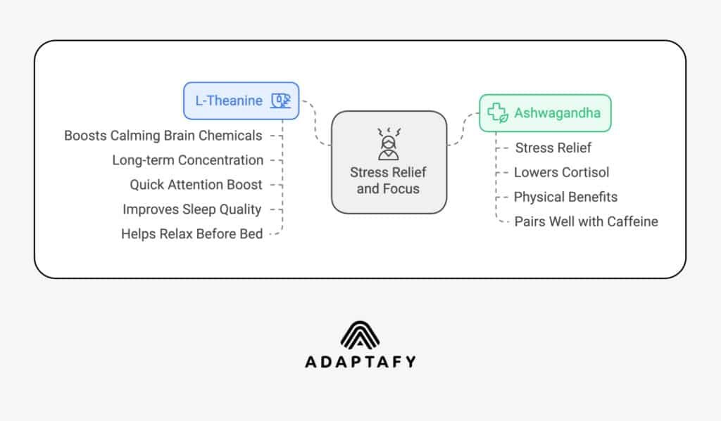 Calm and Focused: Ashwagandha vs L-Theanine for Stress Relief 1 A graphical representation showing the differences between ashwagandha vs L-theanine for stress relief.