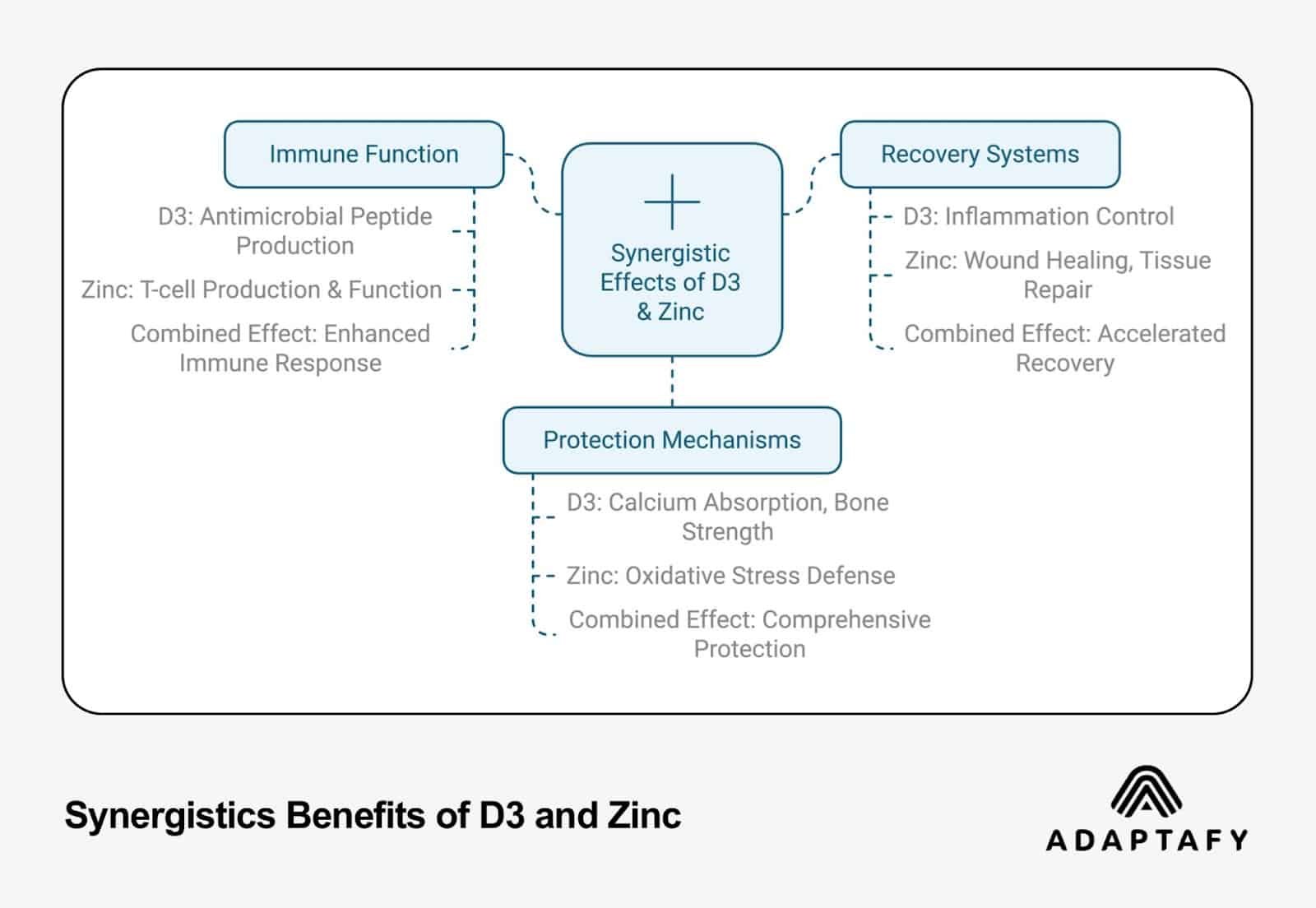 Infographic illustrating synergistic benefits of vitamin D3 and Zinc, showing three main categories: Immune Function, Recovery Systems, and Protection Mechanisms with their combined effects. Created by Adaptafy.
