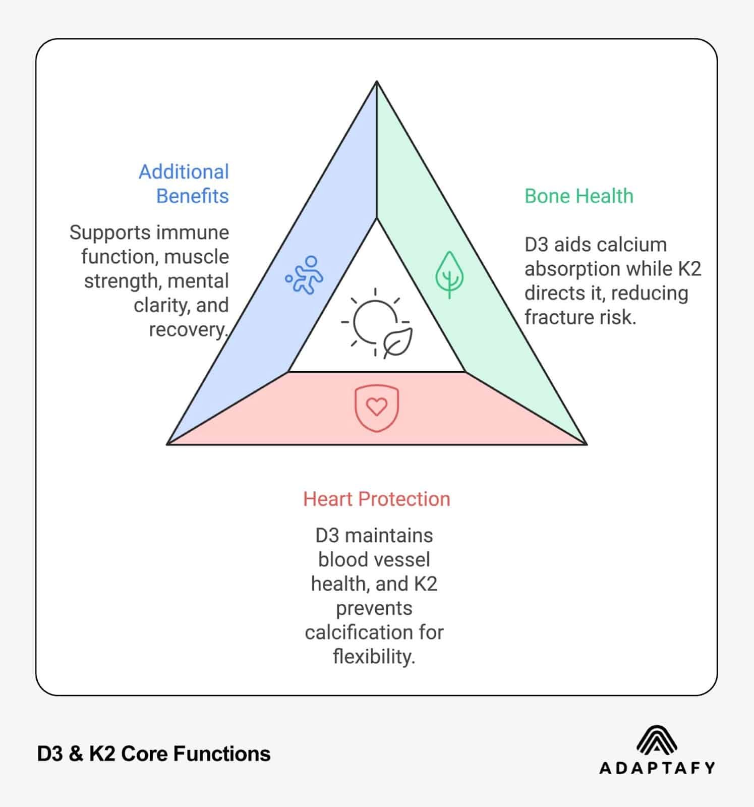 Exploring the Dynamic Duo: Vitamin D3 and K2 Benefits for Everyday Health 1 Triangle diagram illustrating D3 & K2 core functions: Bone Health (calcium absorption), Heart Protection (blood vessel health), and Additional Benefits (immune function, muscle strength). Created by Adaptafy.