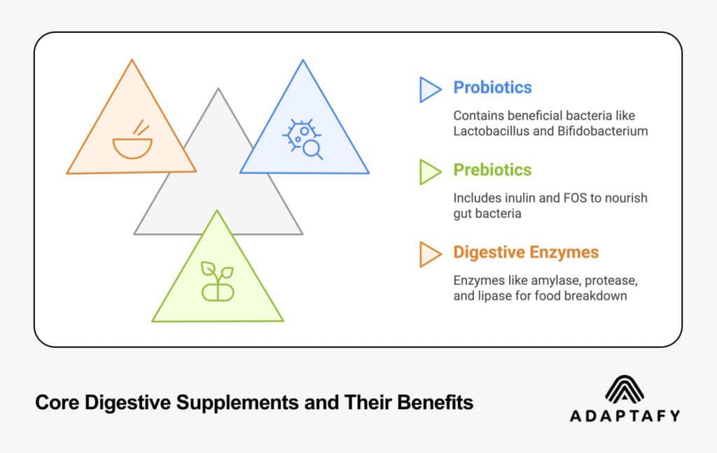 Triangle diagram showing three core digestive supplements: probiotics, prebiotics, and digestive enzymes, with icons and descriptions of their key benefits and components by ADAPTAFY