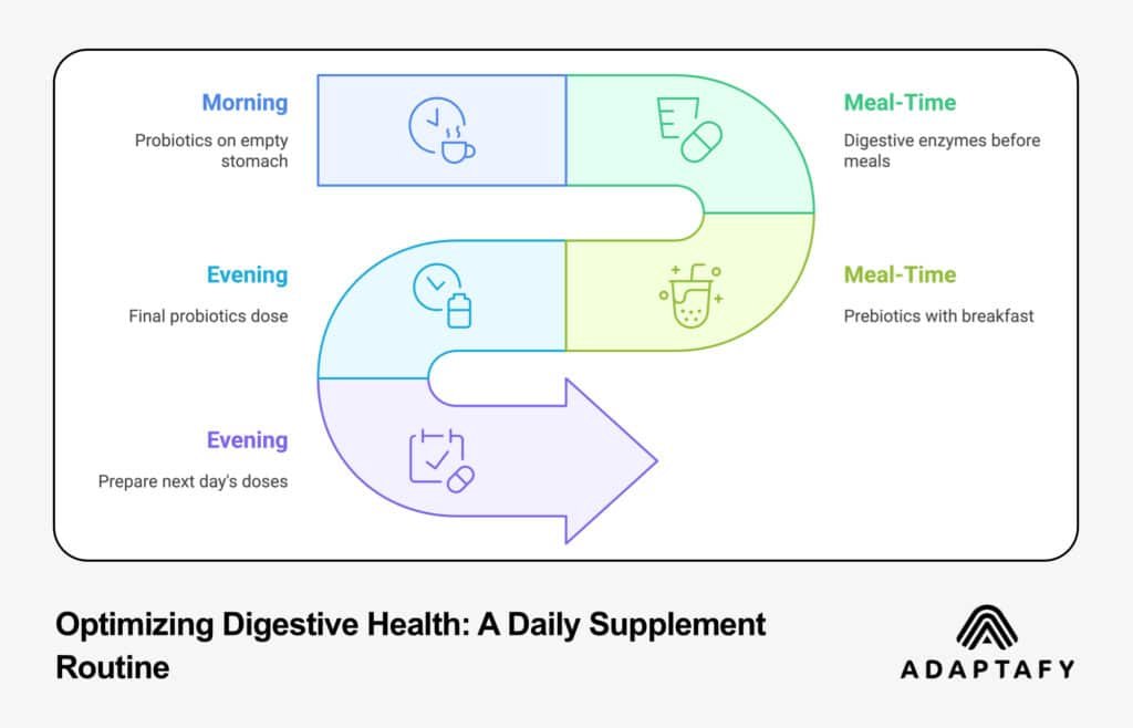 Curved flow diagram showing daily supplement routine from morning to evening, with icons representing different times of day and supplement types for optimal digestive health