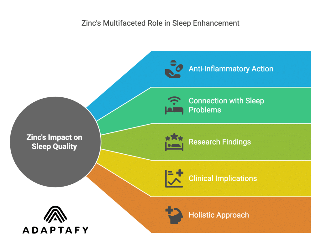 Image showing zinc's role in sleep quality and mood stability: boosts serotonin for mood elevation and relaxation, supports melatonin production for sleep regulation, and helps reduce stress and inflammation for better sleep.