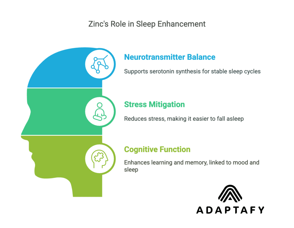 Image showing zinc's impact on sleep and mood: it boosts serotonin synthesis for mood and relaxation, aids melatonin production for sleep, and reduces stress for easier sleep onset.
