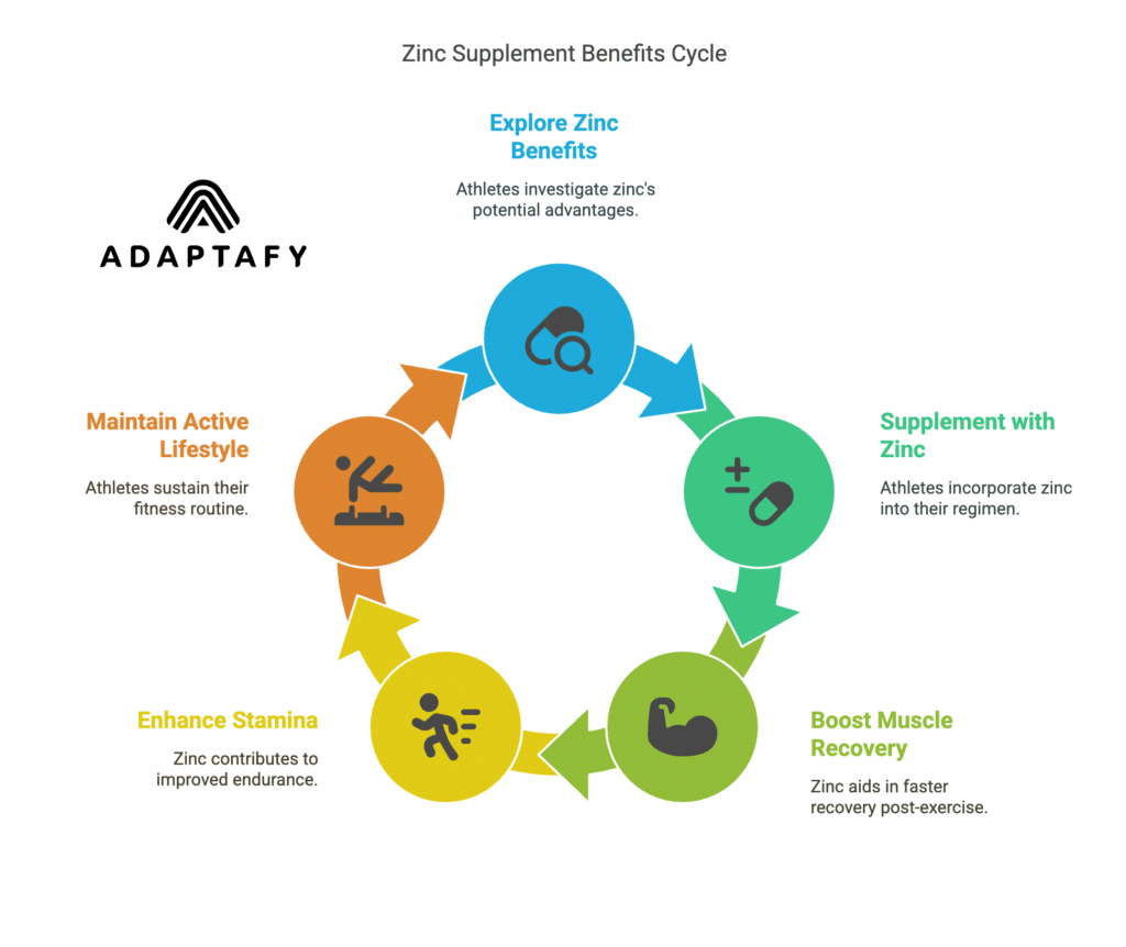 Can Zinc Supplements Really Boost Your Muscle Recovery and Stamina? 1 Diagram exploring whether Zinc supplements can boost muscle recovery and stamina, a common query among fitness enthusiasts and athletes.