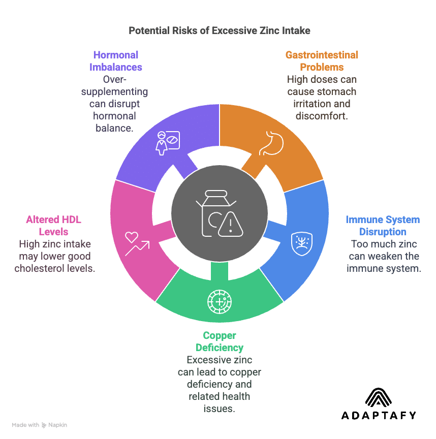 Diagram showing side effects of excess zinc: gastrointestinal issues, immune disruption, copper deficiency, lower HDL, hormonal imbalance, and risk of zinc deficiency.