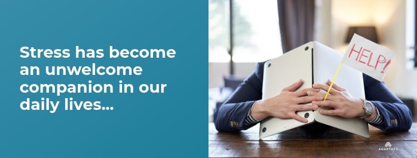 Stress has become an unwelcome companion in our daily lives. As busy men juggling careers, family responsibilities, and personal goals, finding effective ways to manage stress can feel like searching for a needle in a haystack. Healthy Ways to Reduce Stress article for Men by Adaptafy.