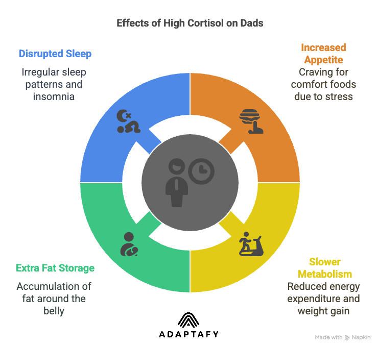 Diagram explaining cortisol's impact on metabolism: stress increases cortisol, leading to higher appetite, slower metabolism, more belly fat, and disrupted sleep, especially for dads. Diet for High Cortisol article.