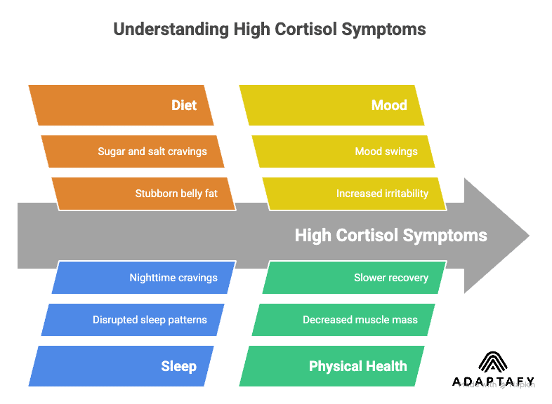 Diagram shows signs of high cortisol in busy dads: belly fat, poor sleep, cravings, mood swings, brain fog, fatigue, less muscle, slower recovery. Diet for High Cortisol article.